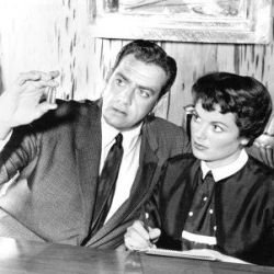 Perry Mason As Played on TV The Bookshop Blog