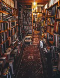 5 Things to Do in Your Favorite Bookshop on a Lazy Sunday
