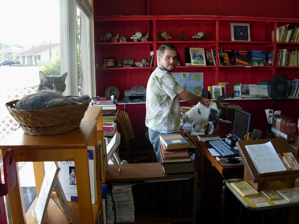 Bookstore, Bookseller