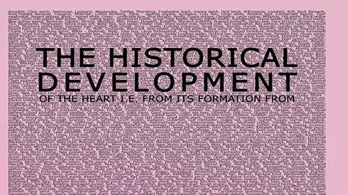 The Historical Development of the Heart